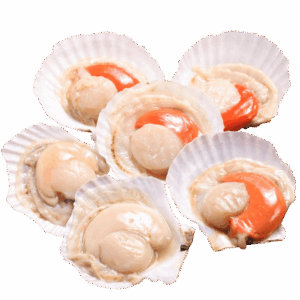 半殼扇貝