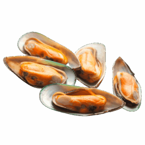 急凍青口
