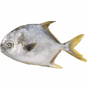 黃立倉
